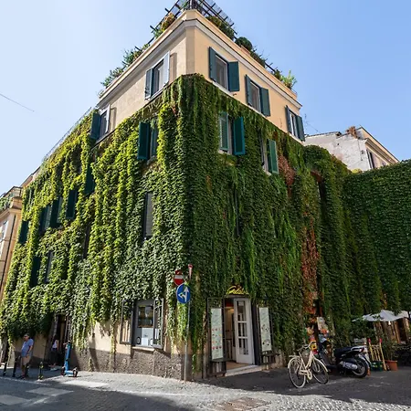 Domus 14 * Roma
